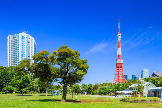 銀座 周辺情報