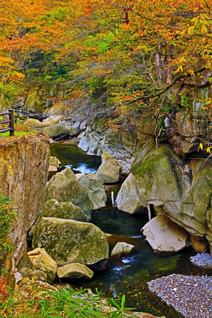 山寺 周辺情報